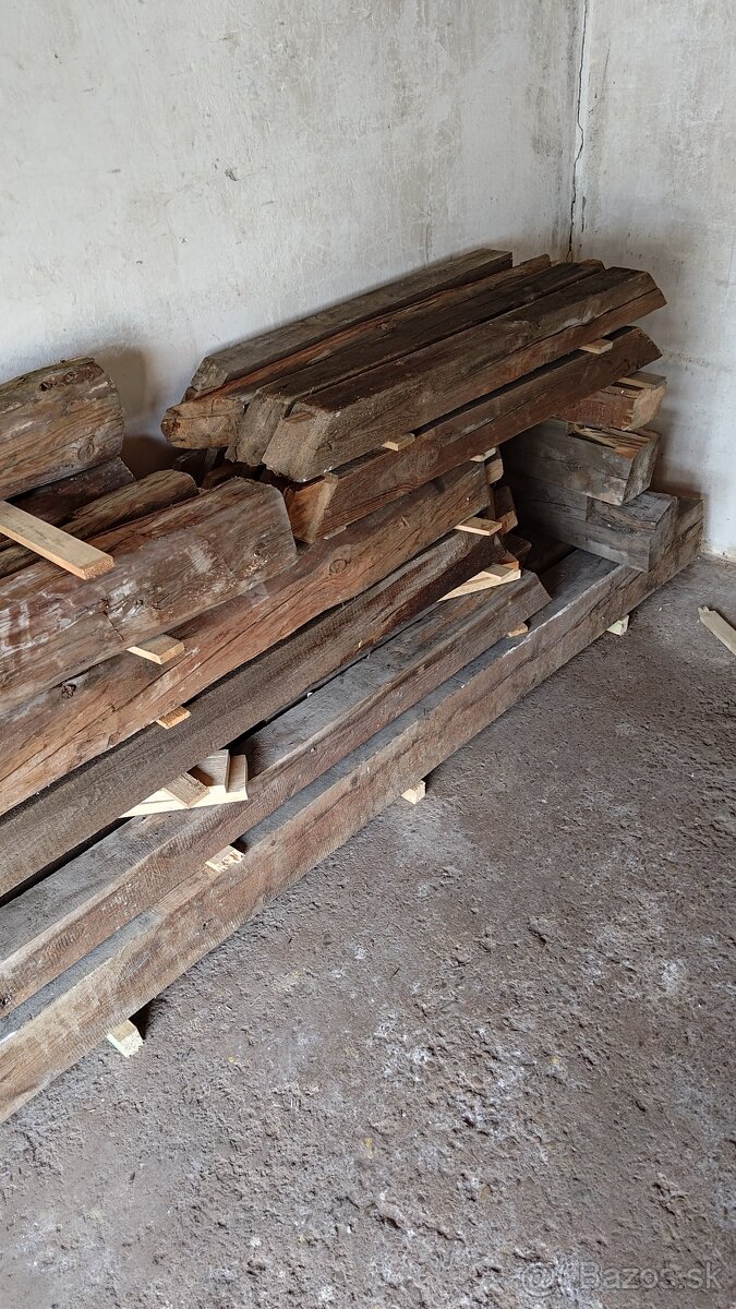 State drevo borovica - 3