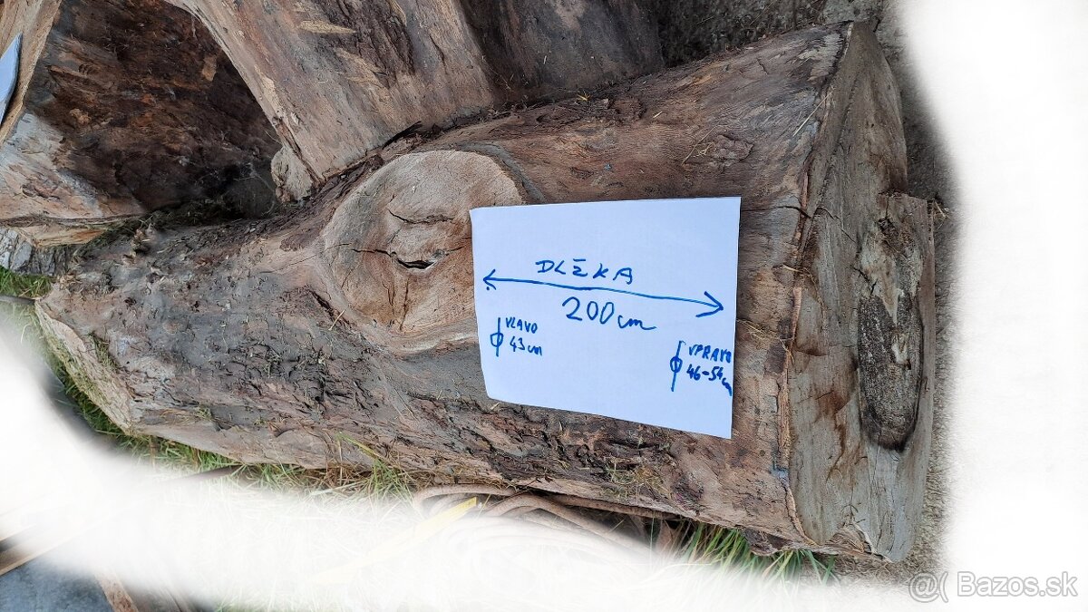 Predam orechove drevo - 3