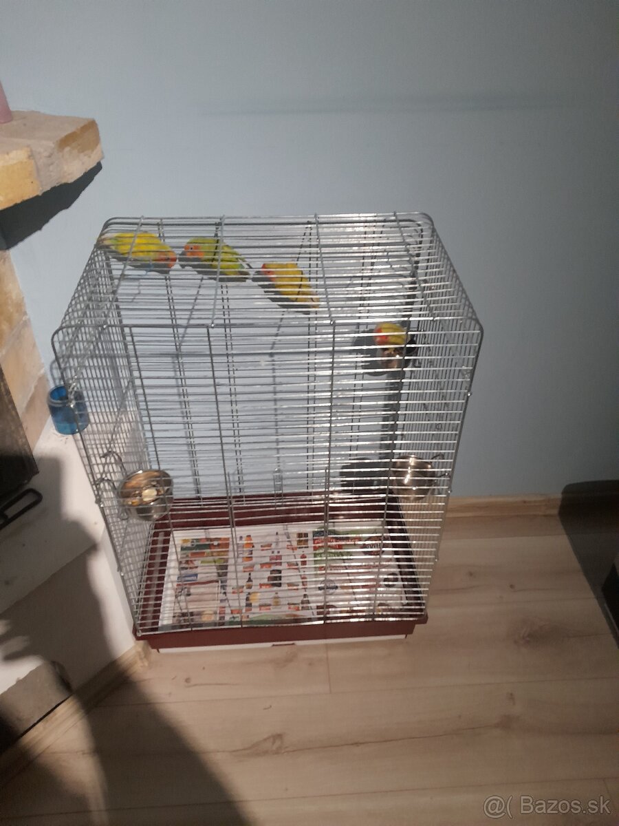 Predám klietky - 3