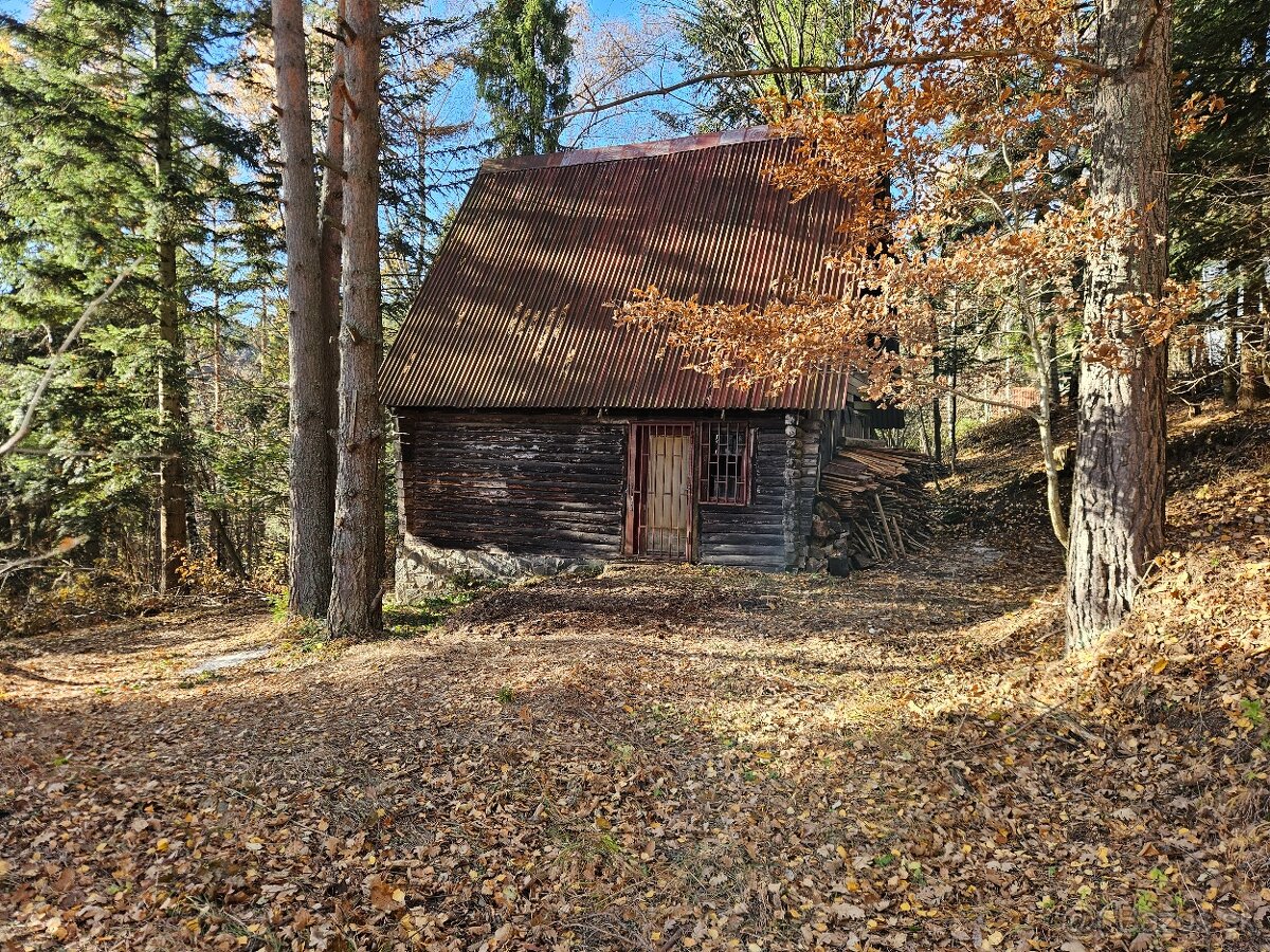 Predam chatu s pozemkom 1978m2 Drienica - 3