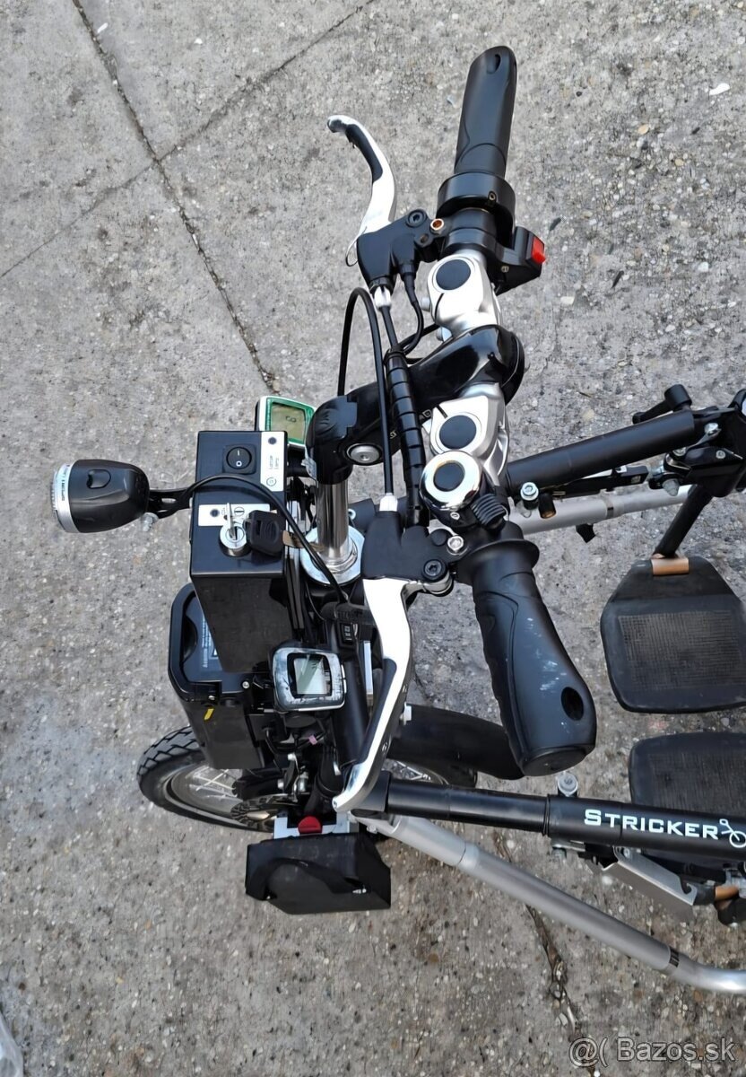 Stricker Lipo - 3