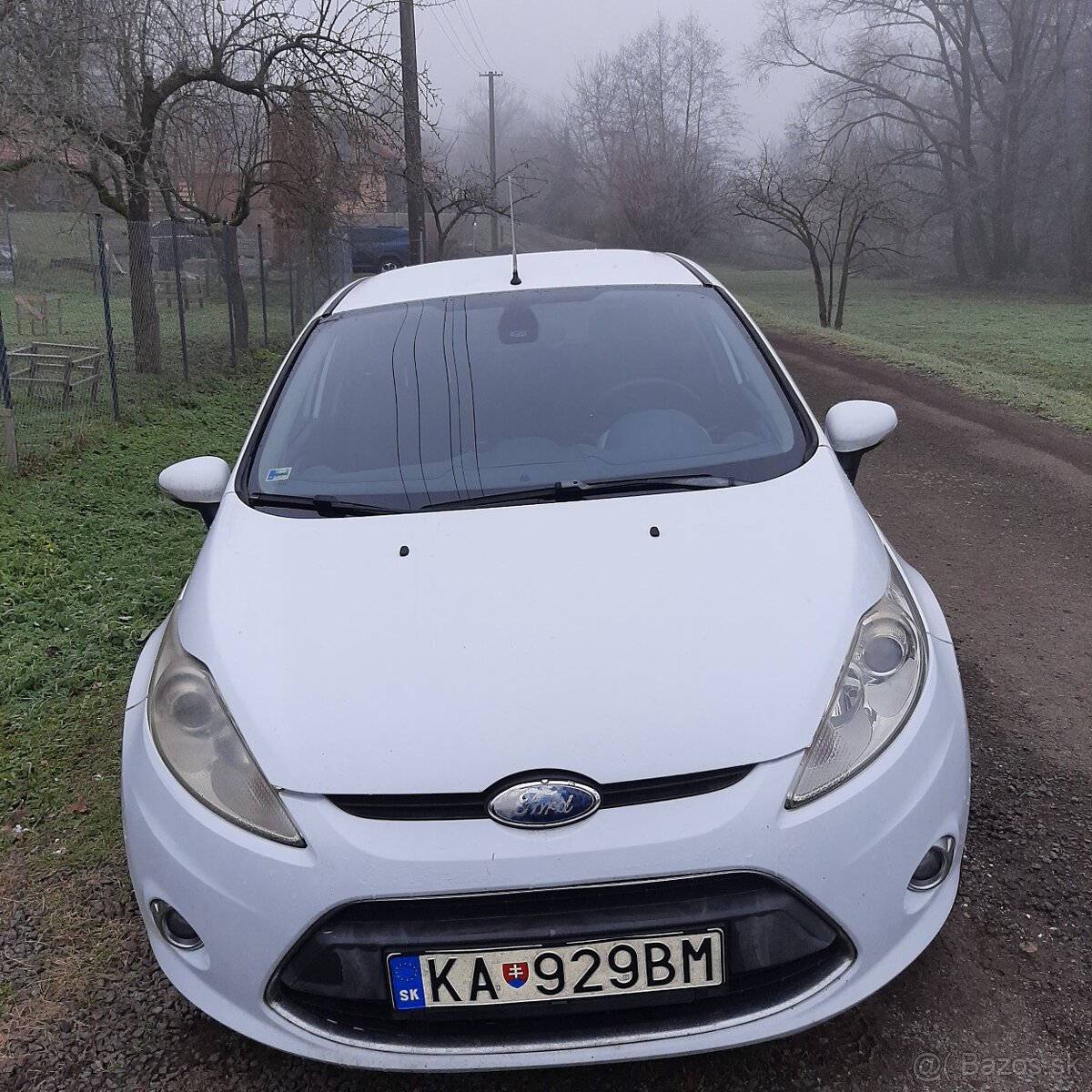 Ford fiesta - 3