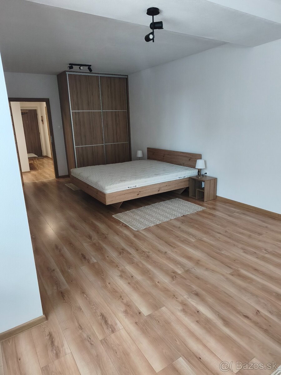 Prenájom veľkého 2 izb.bytu - 3
