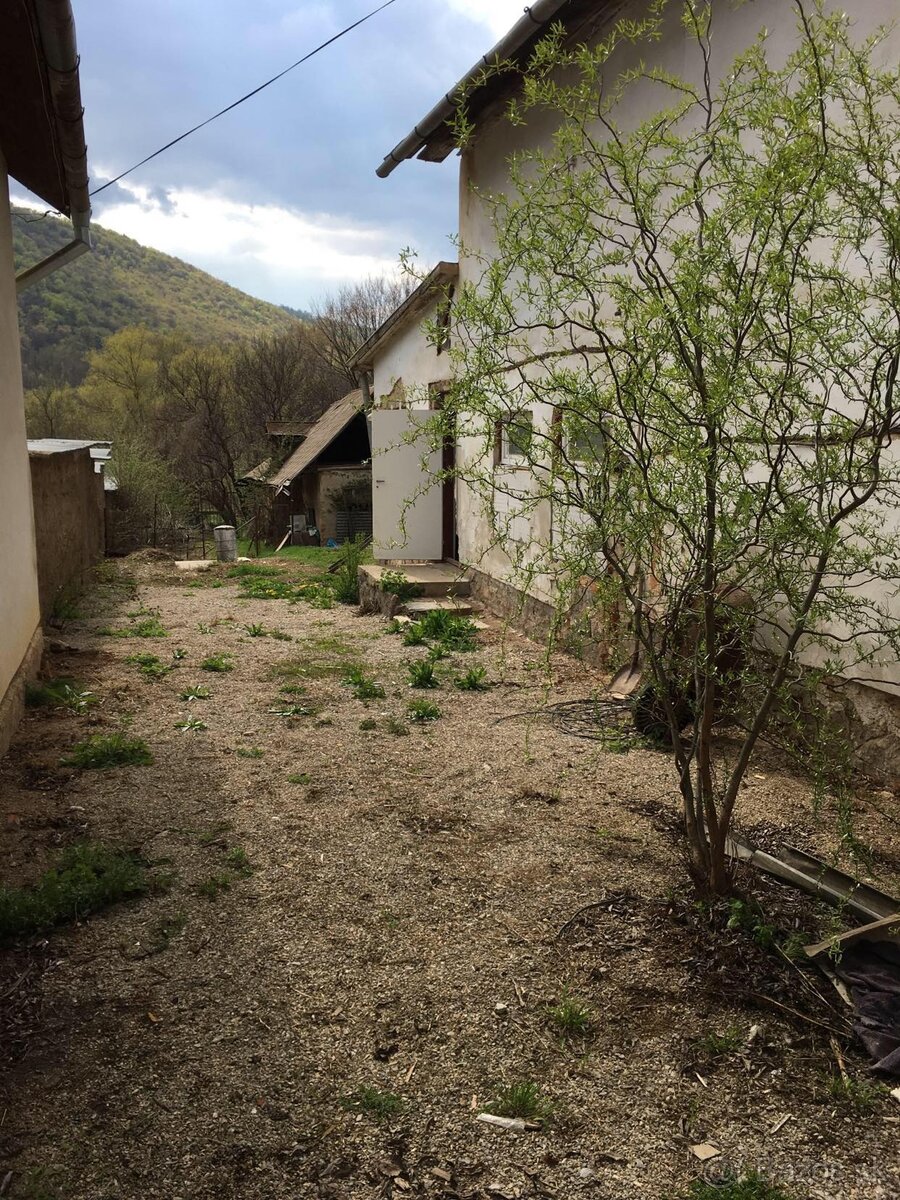 Fotografia 3