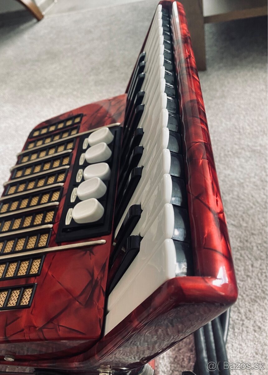 Akordeon/harmonika Delicia Junior 72-bas - 3