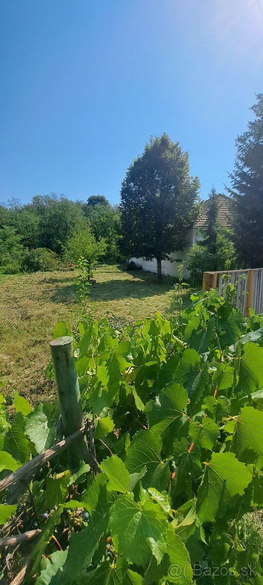 Predám pozemok v Zalabe,okres Levice. - 3