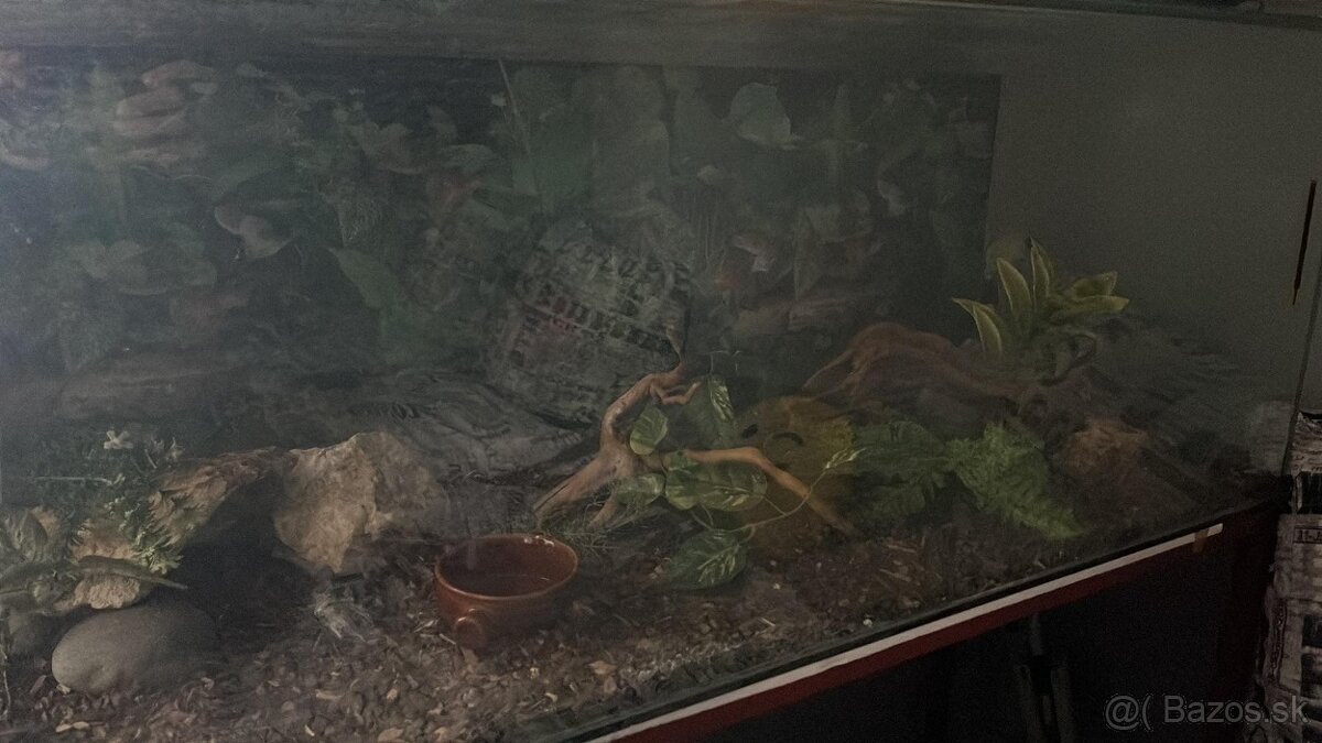 Predám terárium - 3