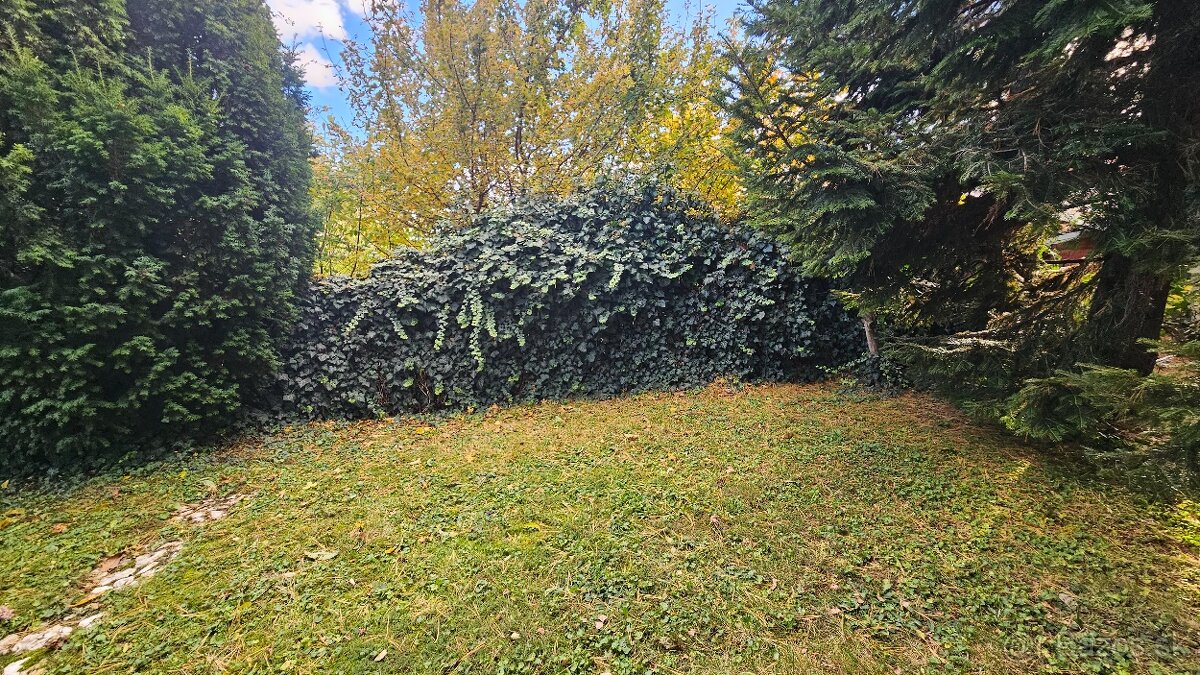 Predaj rekreačná chata Nitra - Zobor, pri lese - 3