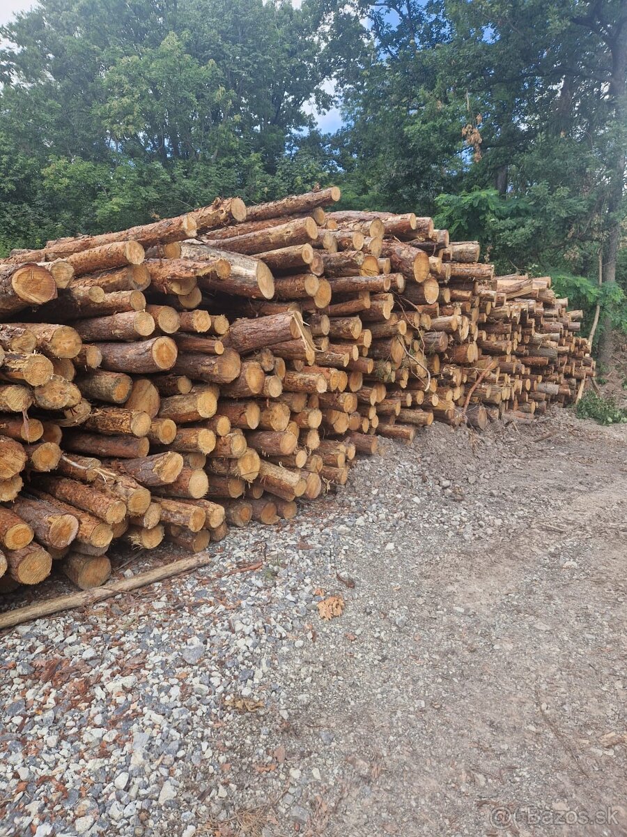 Dubové drevo_Vykurovanie_Predaj_Doprava_19112025 - 3