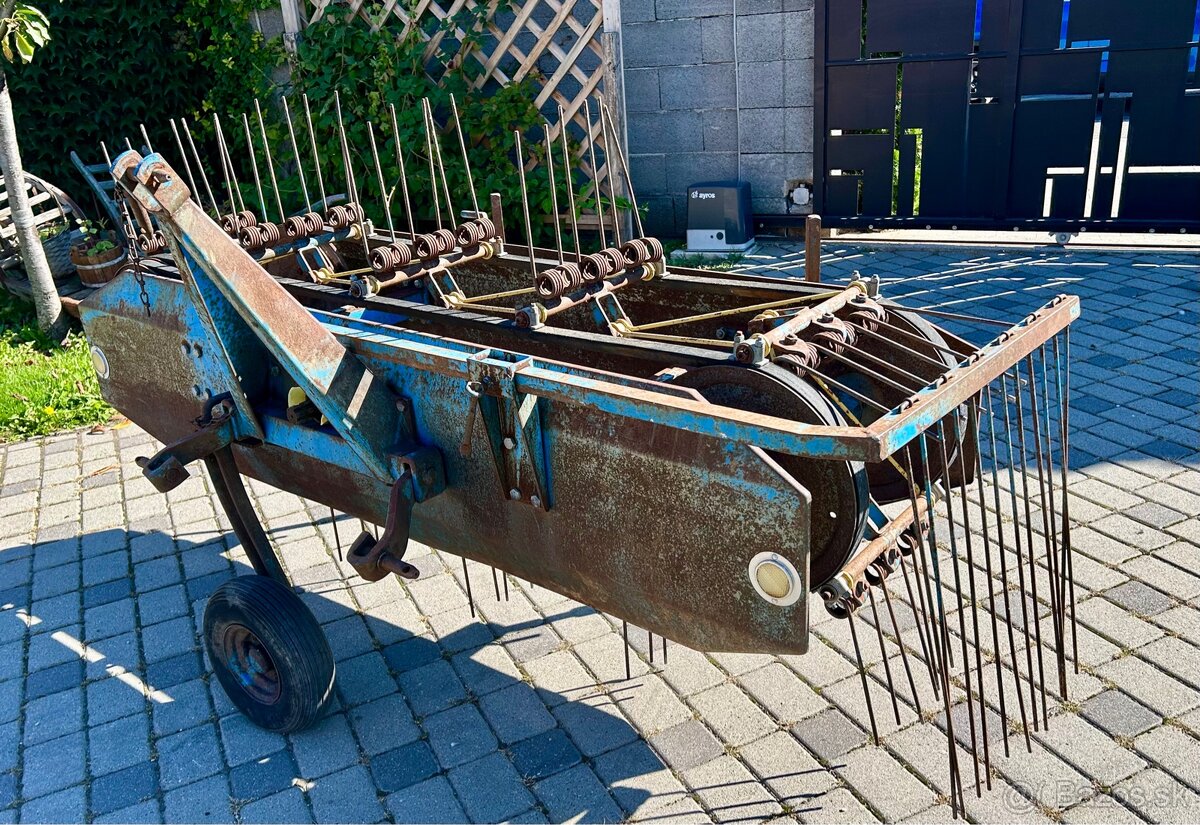 Pasova Hrabačka - 3