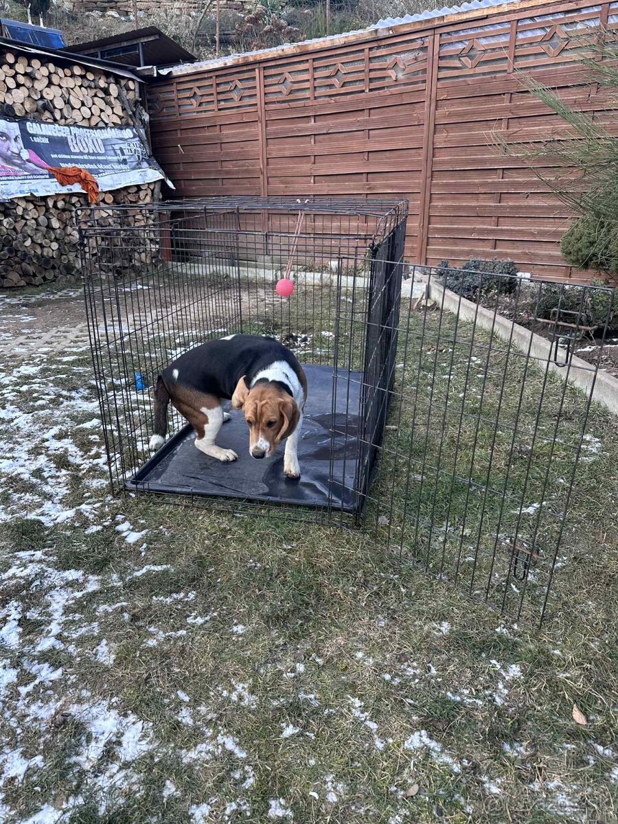 Kovová klietka Pre psa XXL - 3