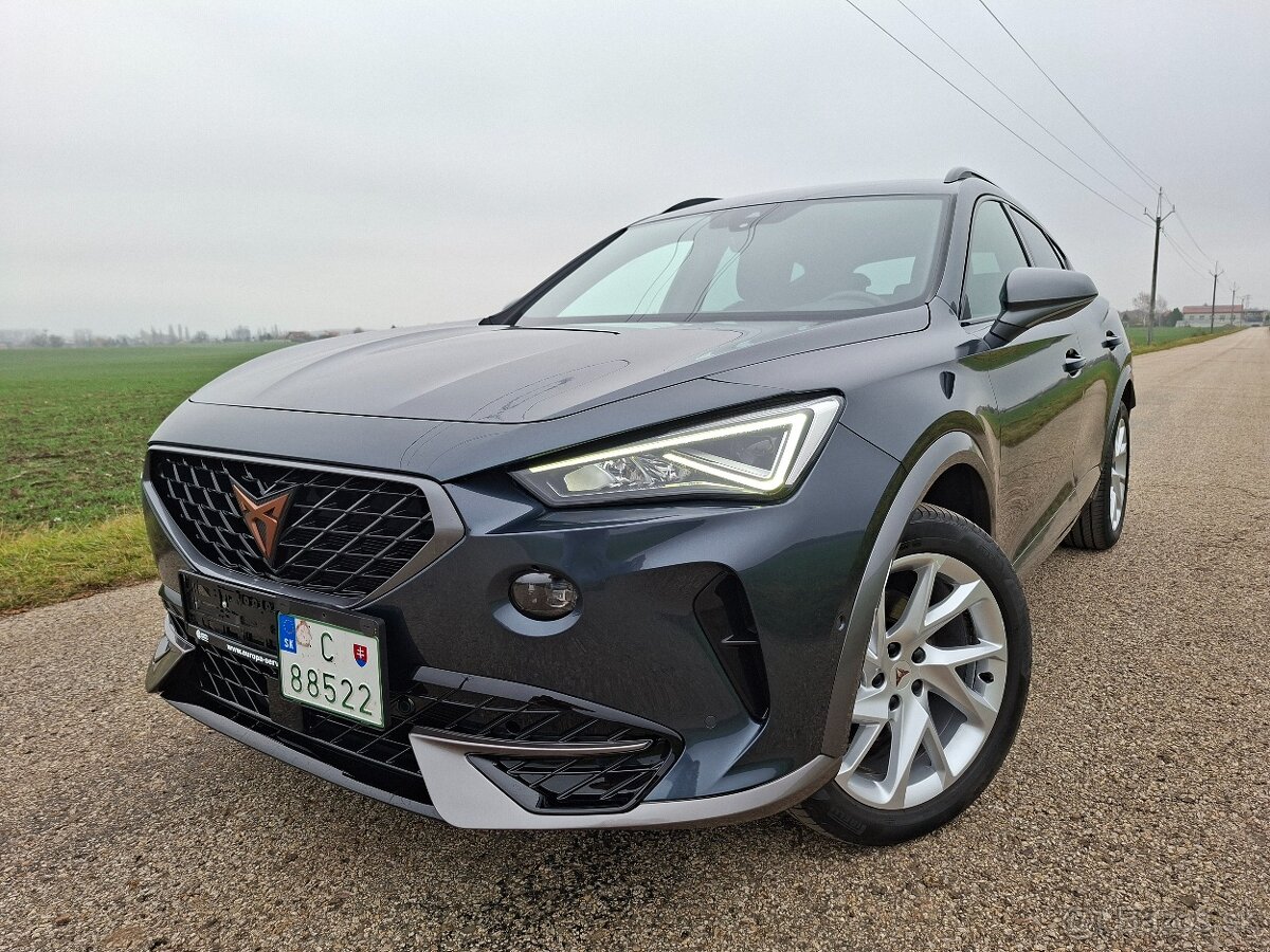 Cupra Formentor 1.5 Tsi DSG - 3