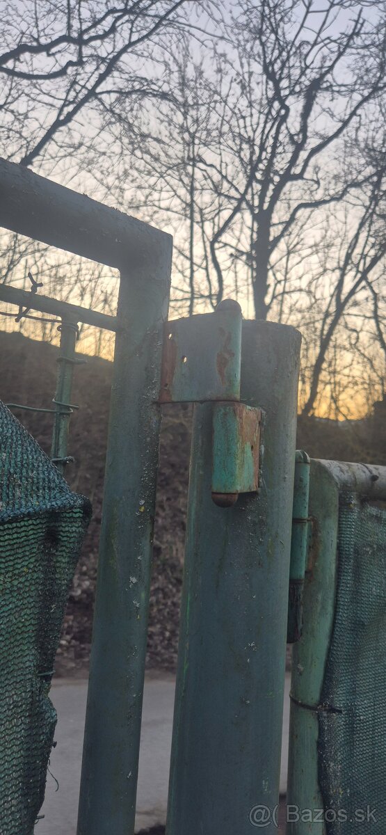 Brana kovova +branicka - 3