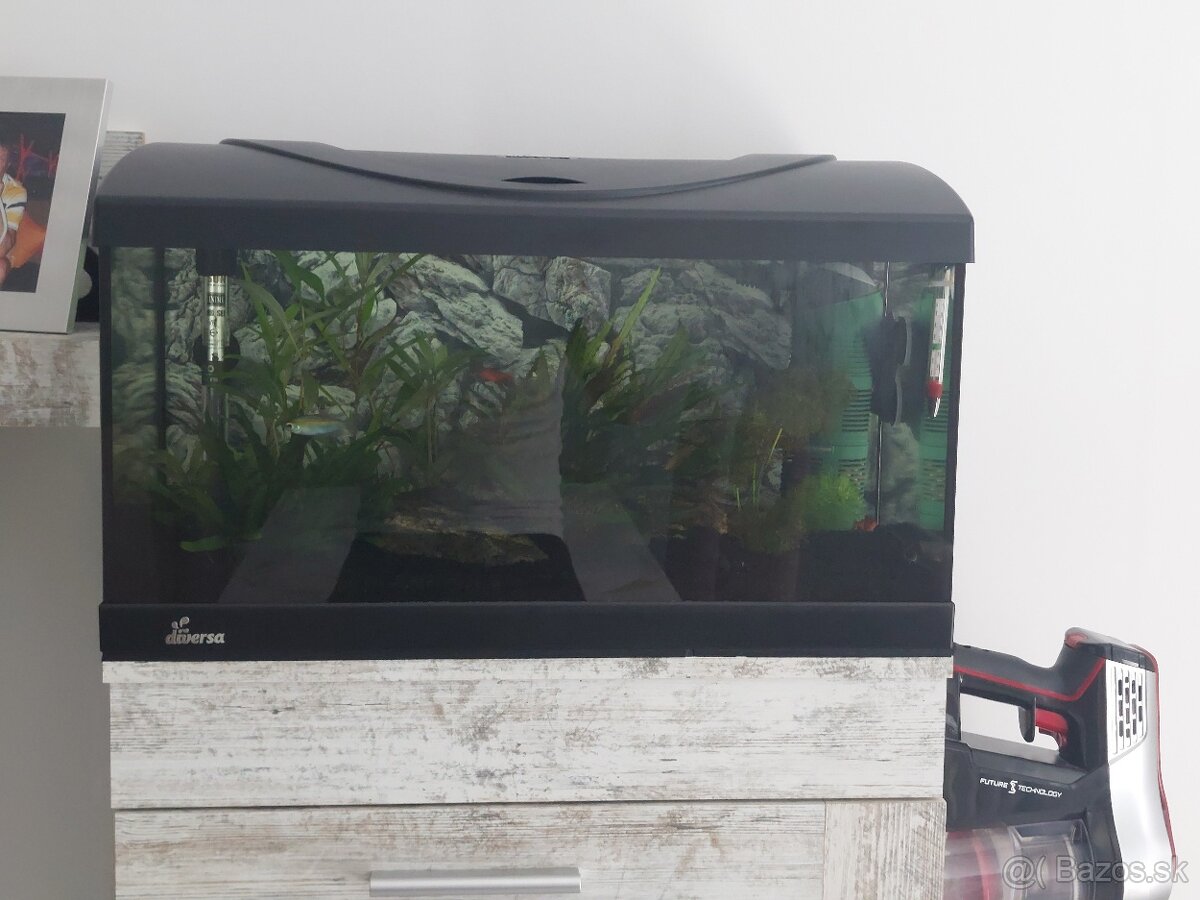 54l diversa akvarium - 3