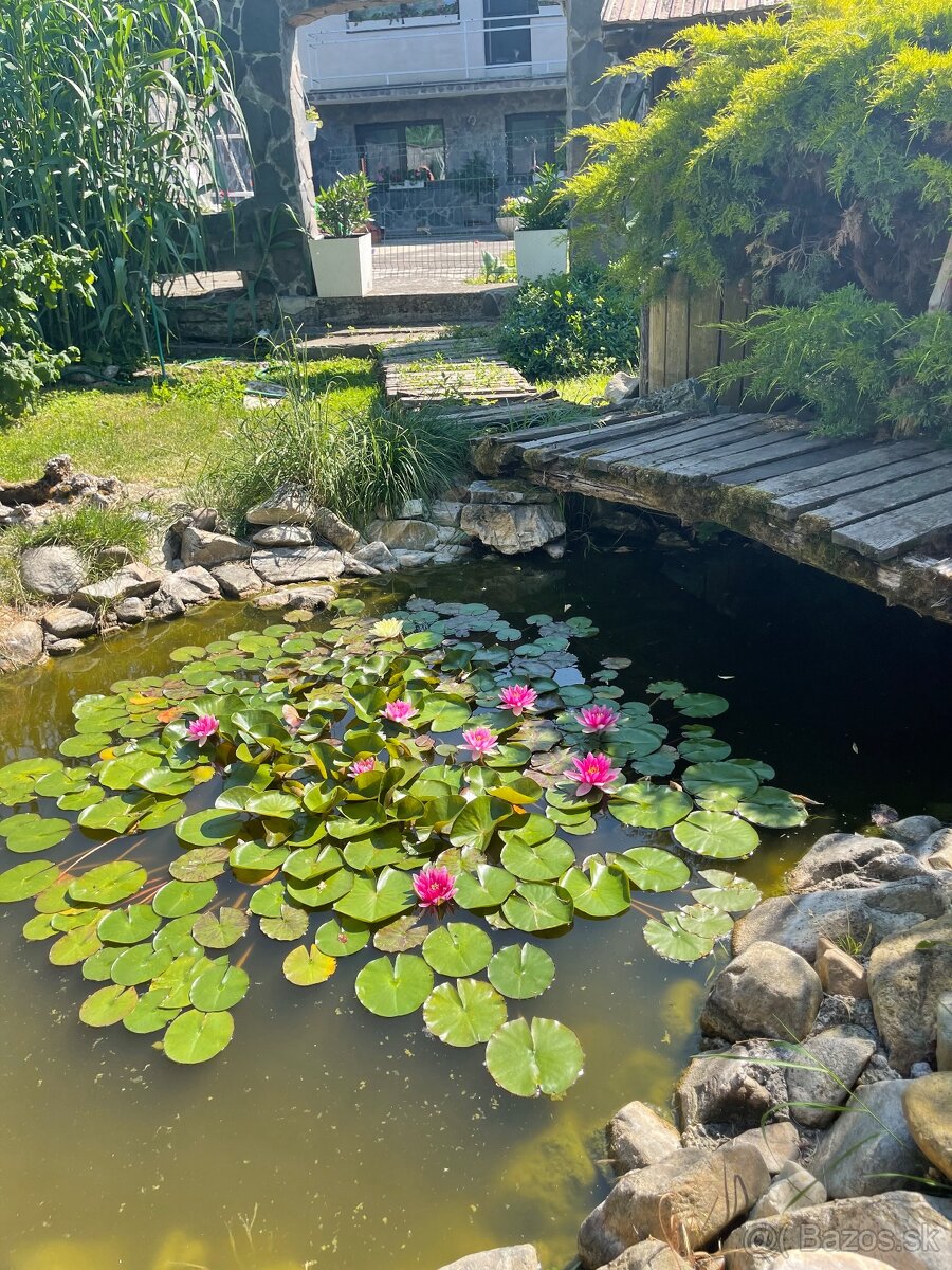 Dom v Branči pri Nitre - 3