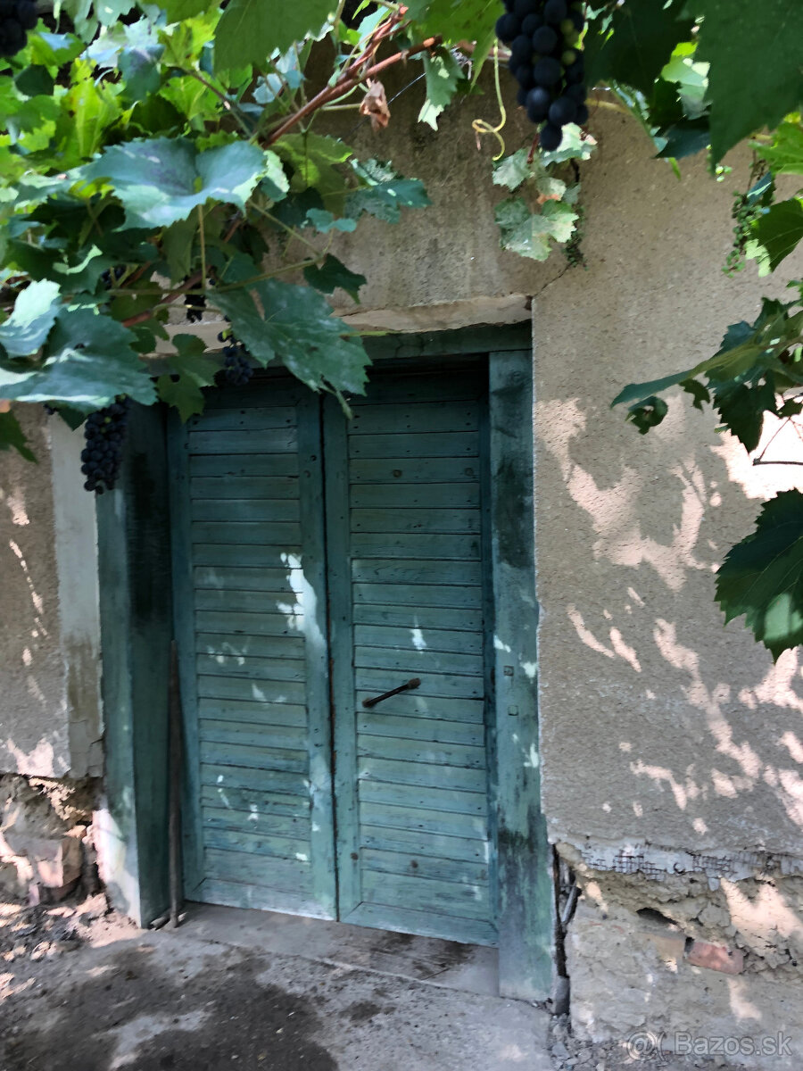 Viničný domček a niekoľko radov viniča - 3
