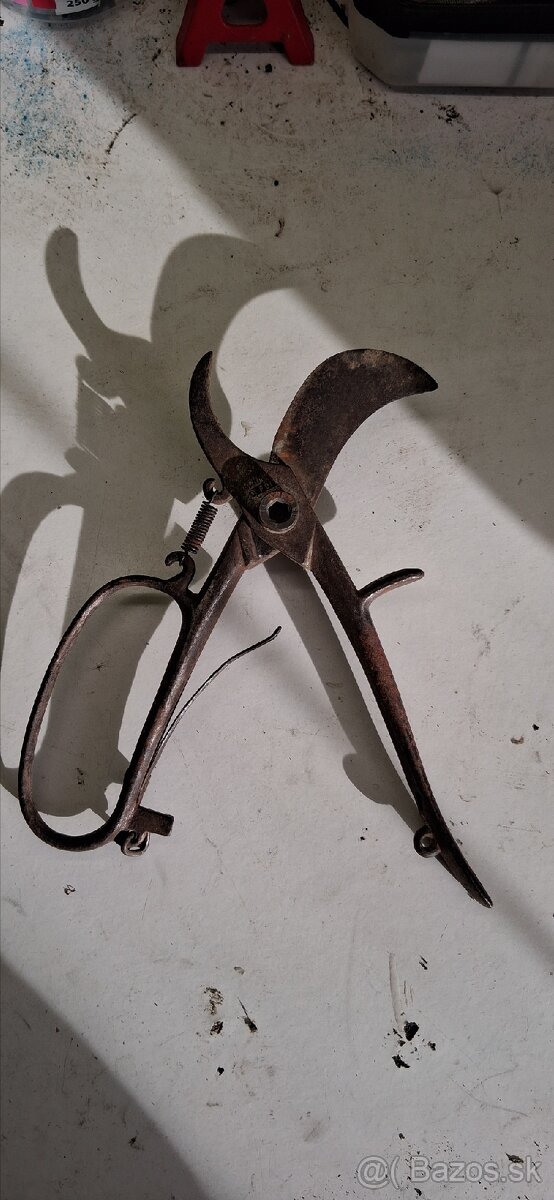 Starožitné noznice - 3