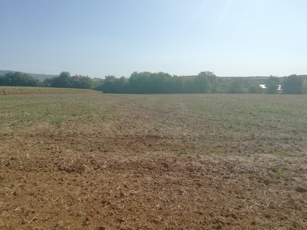 Stavebný pozemok Tesárske Mlyňany - 3