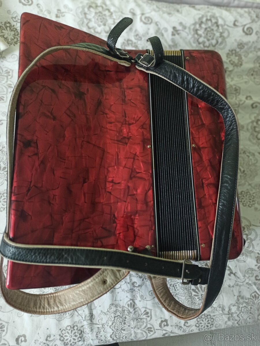 Harmonika Delicia - 3