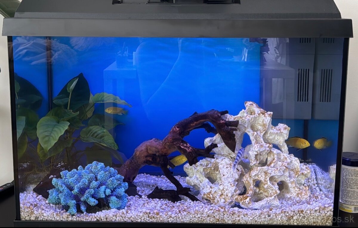Akvárium Juwel s príslušenstvom - 3