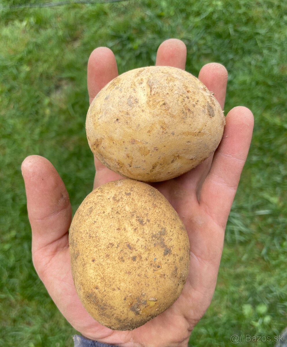 Zemiaky - 3