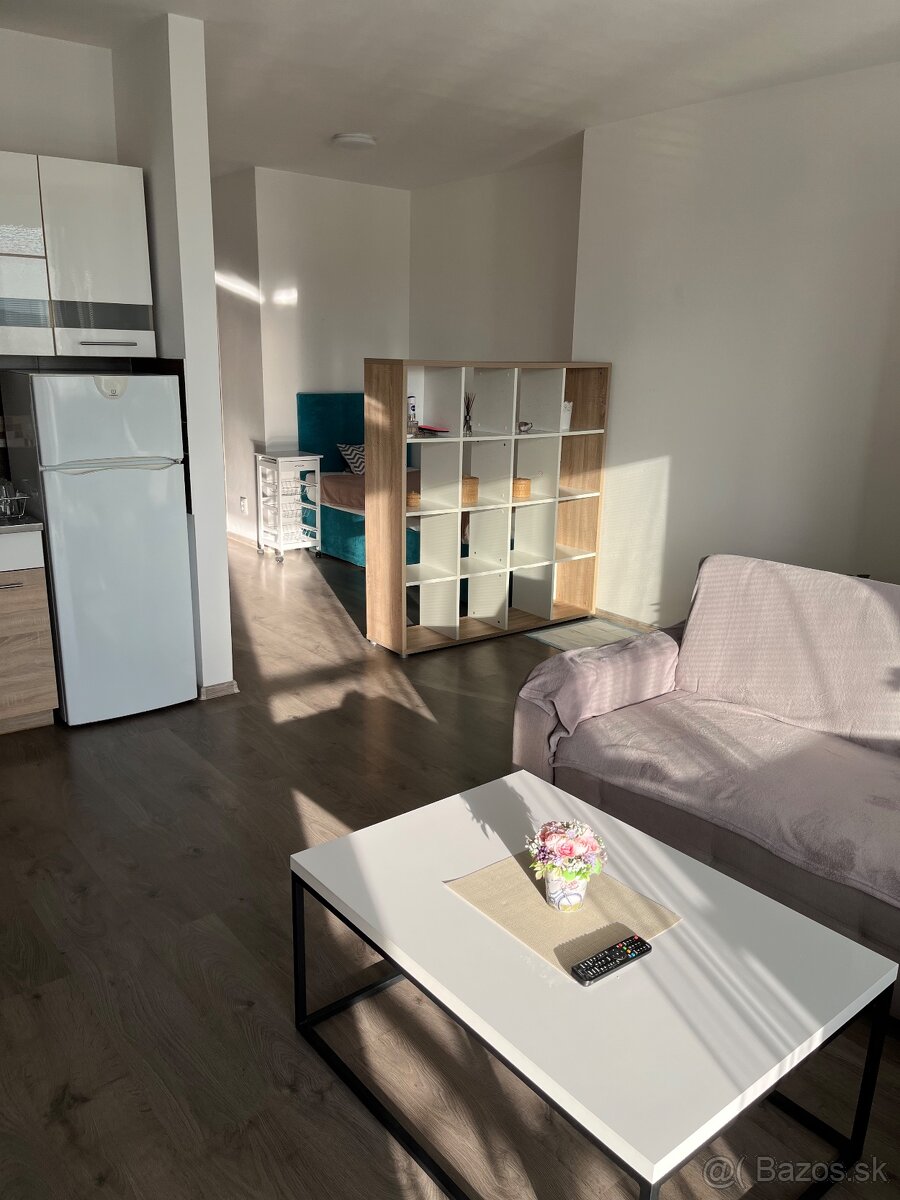 PRENÁJOM 1 izbový byt- SLOVENSKÝ GROB - 3