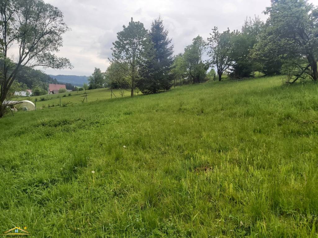 Predaj:Stavebný pozemok na developerský projekt v meste Turz - 3