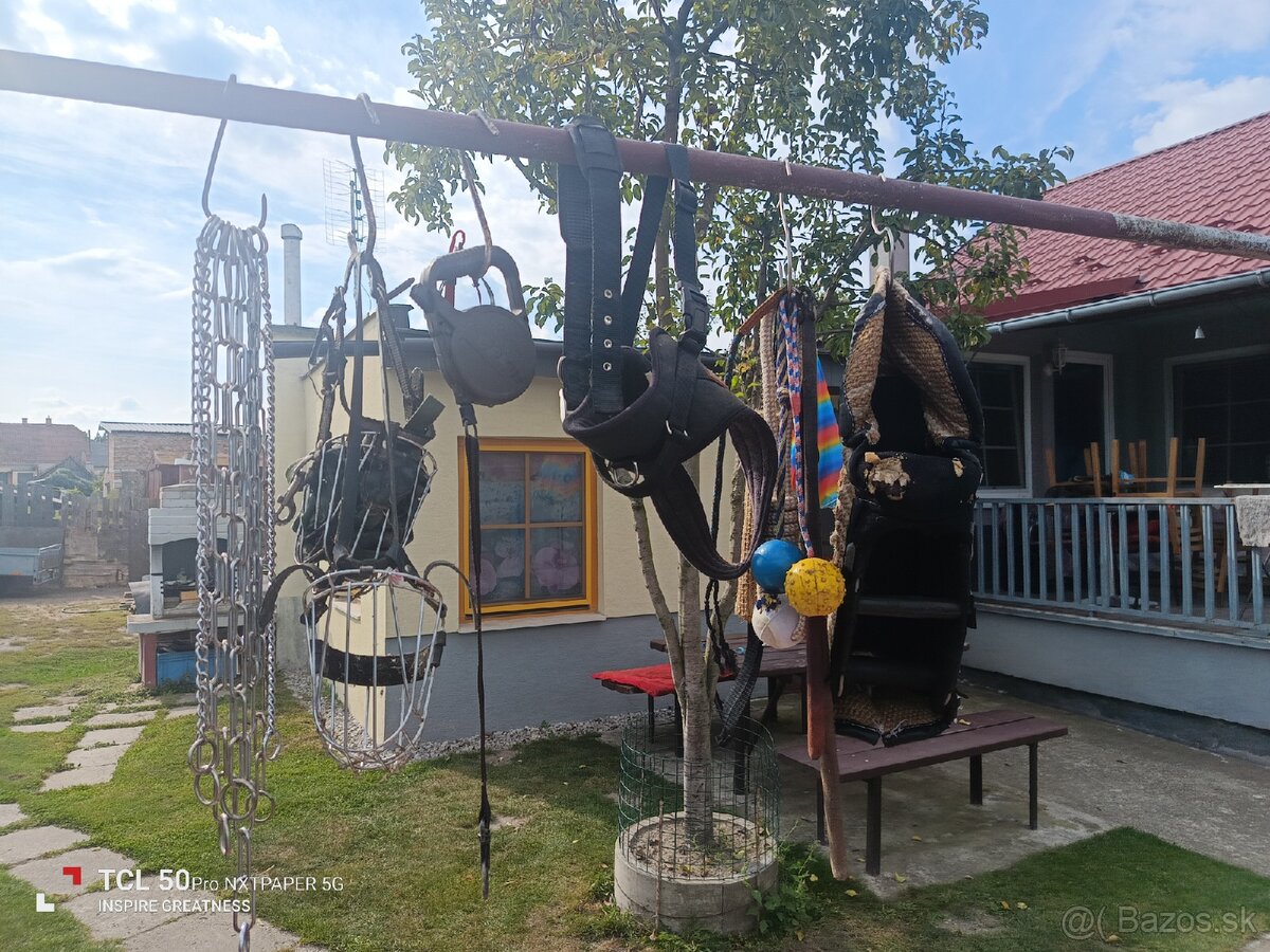 Německý ovčák - 3