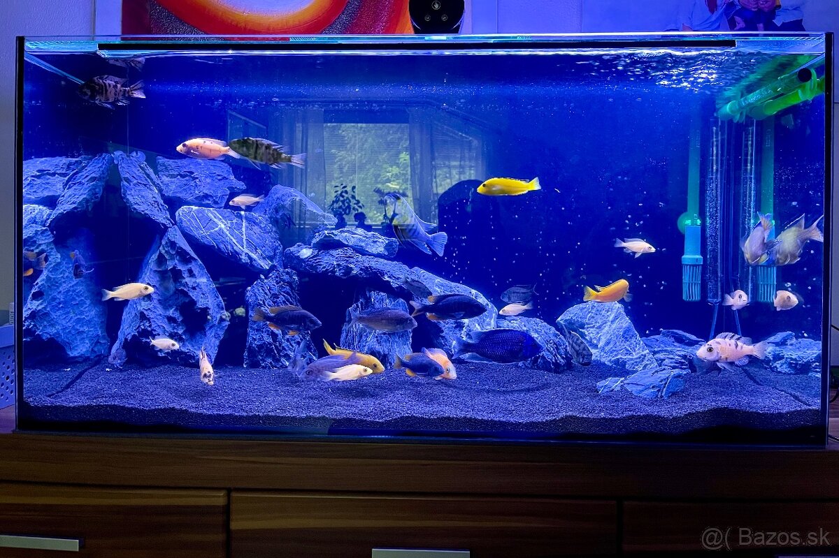 200 L Akvarium s príslušenstvom - 3