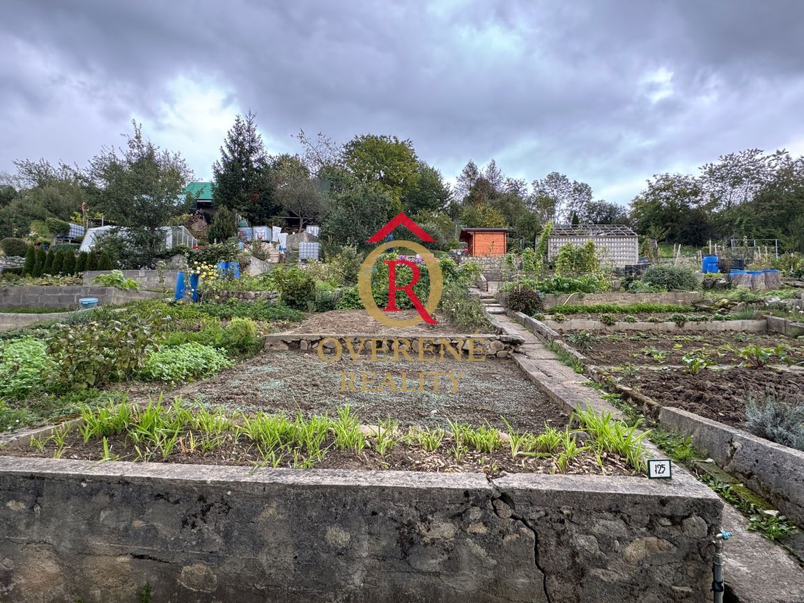 Záhrada s chatkou - 3