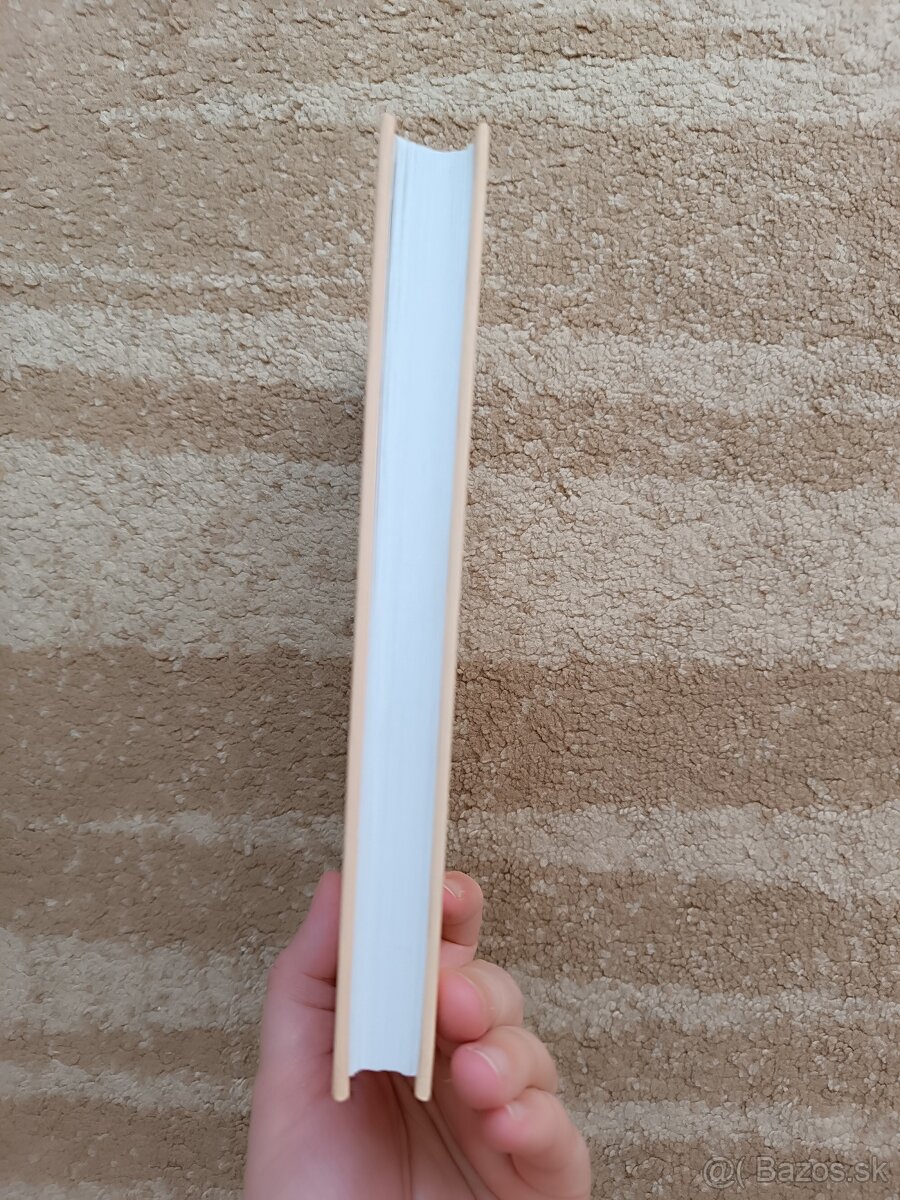 Teória literatúry - 3