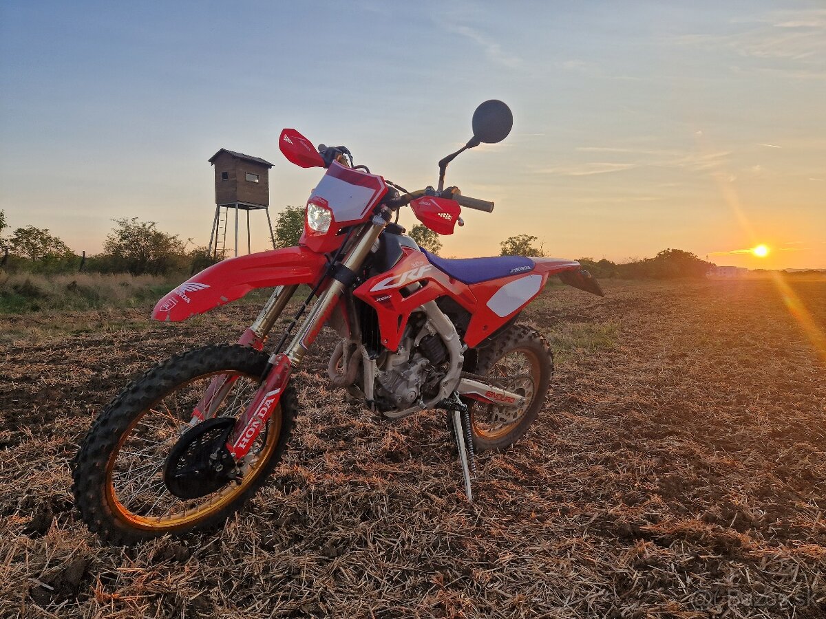 Honda CRF 300RX RED MOTO 50th
