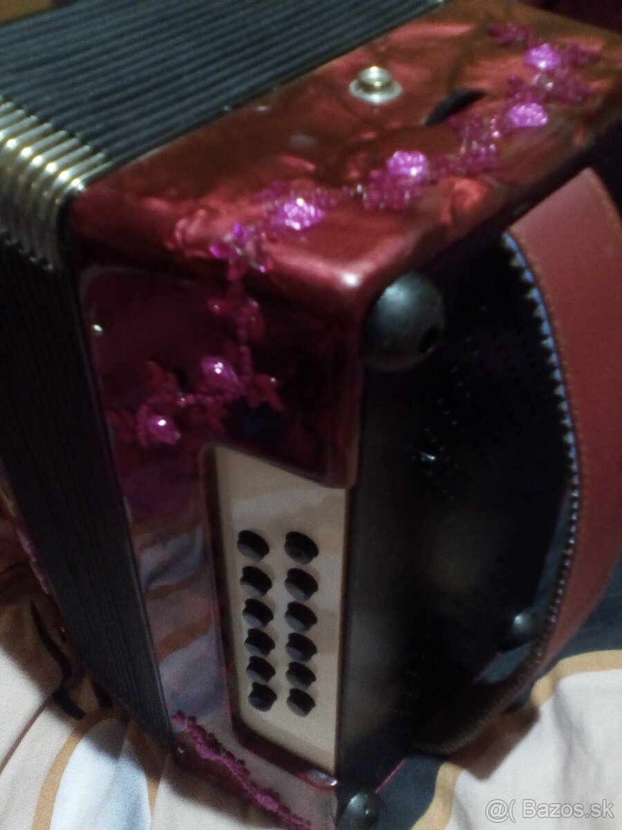 Akordeón Badmaster - 3