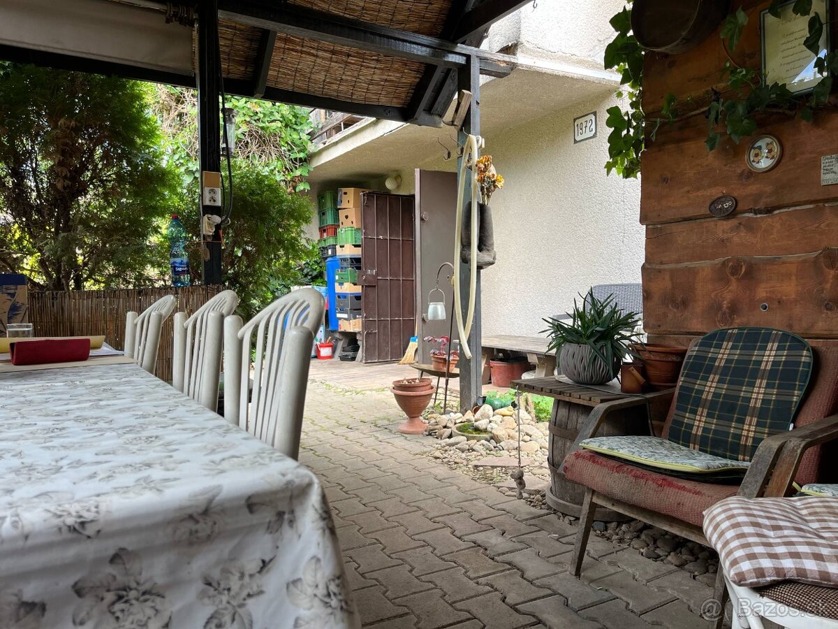 PREDAJ - Viničný dom s vinicou, Staré Predné Levice - 3