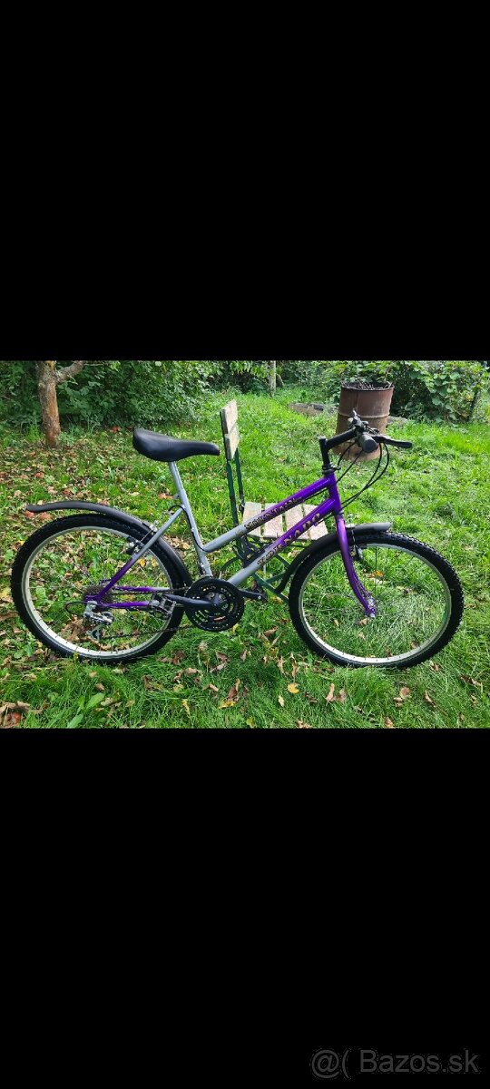 Detsky horsky bicykel 24 - 3