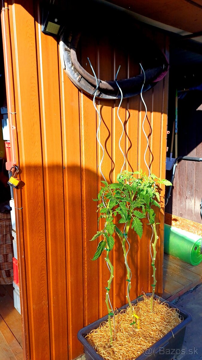 Záhradný domcek(koterec) - 3