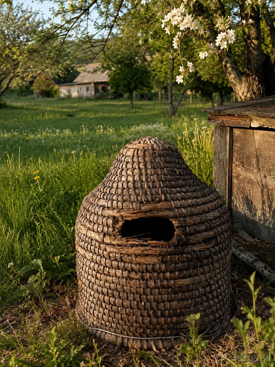 Starý včelí úl - 3