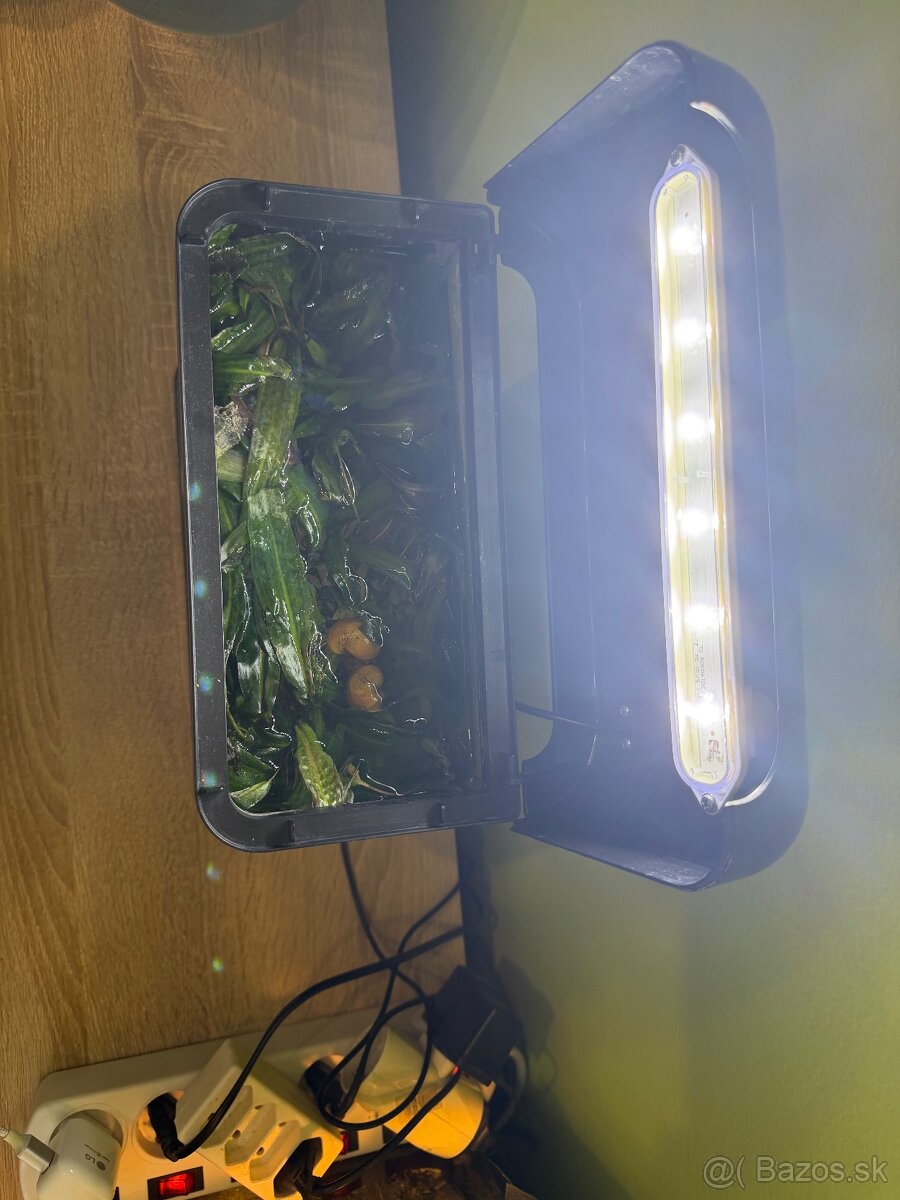 Predám akvárium 242812cm - 3