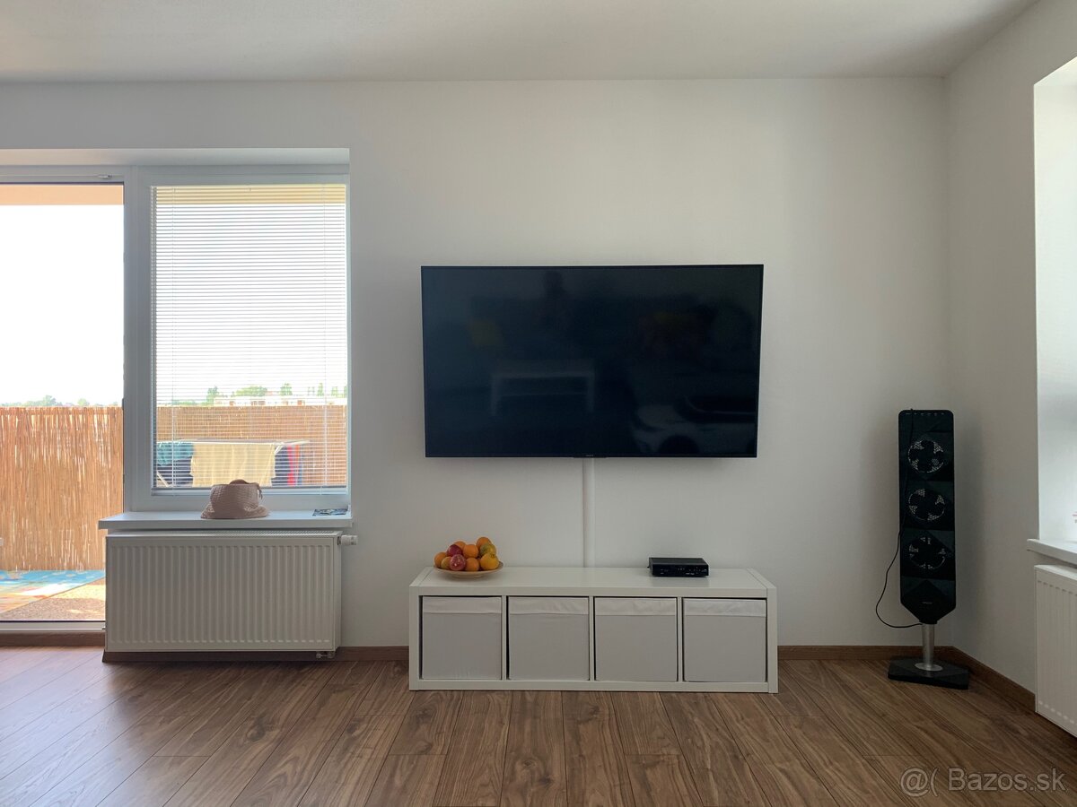 TV 65” Sony Bravia - 3