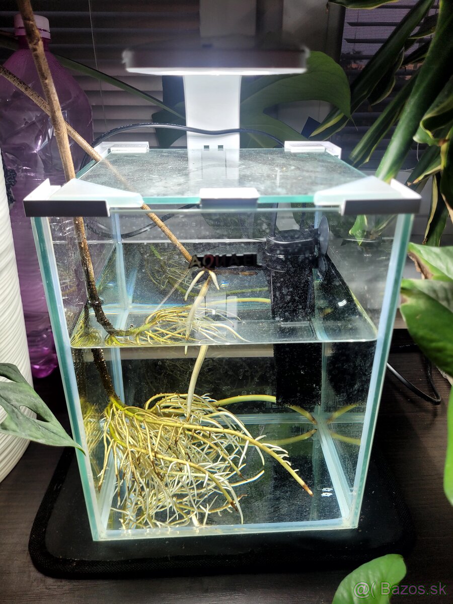 Set akvária s lampou a filtrom AQUAEL - 3