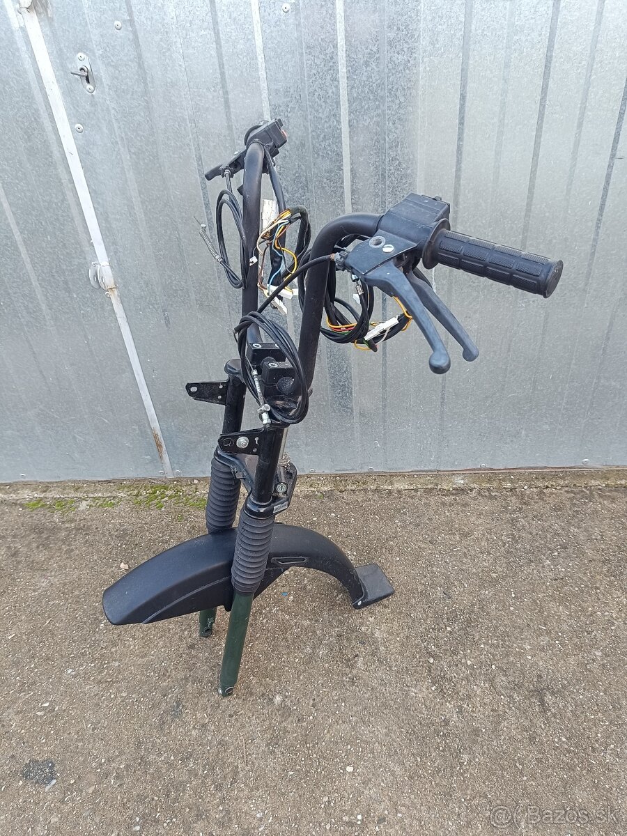 Predok manet Korado - 3