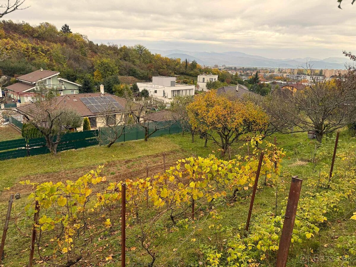 Pozemok nad Dubčekovou ulicou - 3