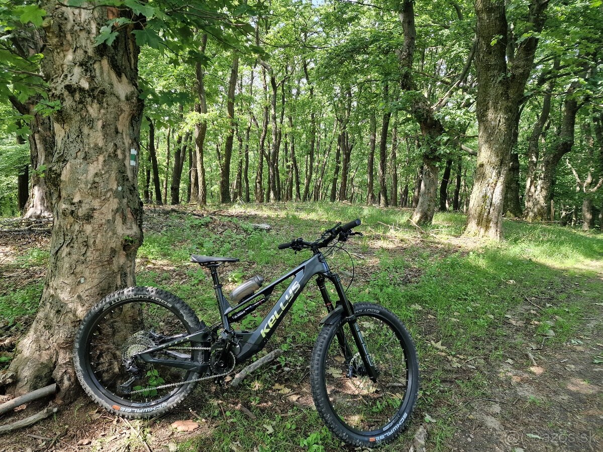 Kellys Theos F70 - 3