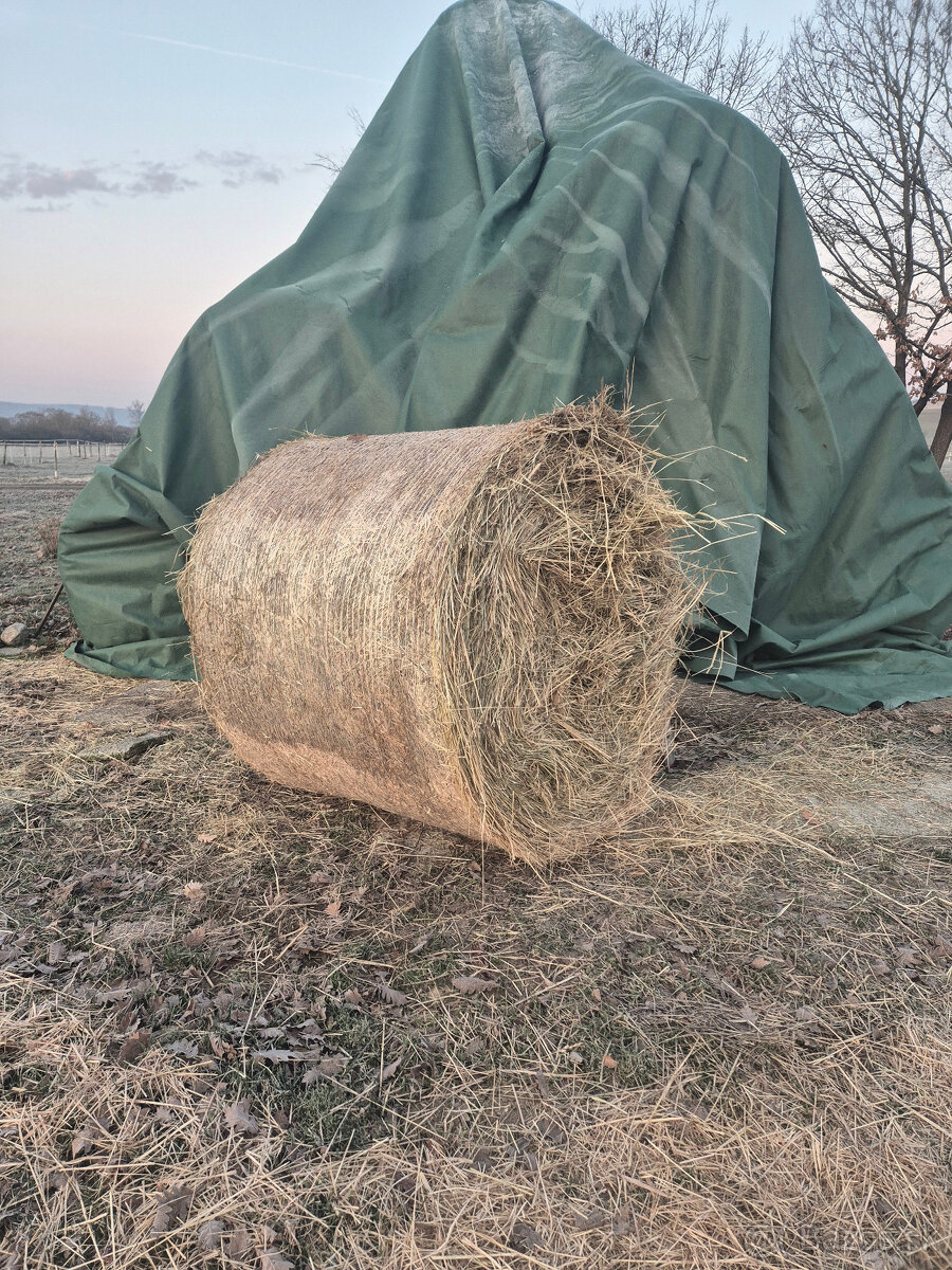 seno okrúhle balíky 130x130 - 3