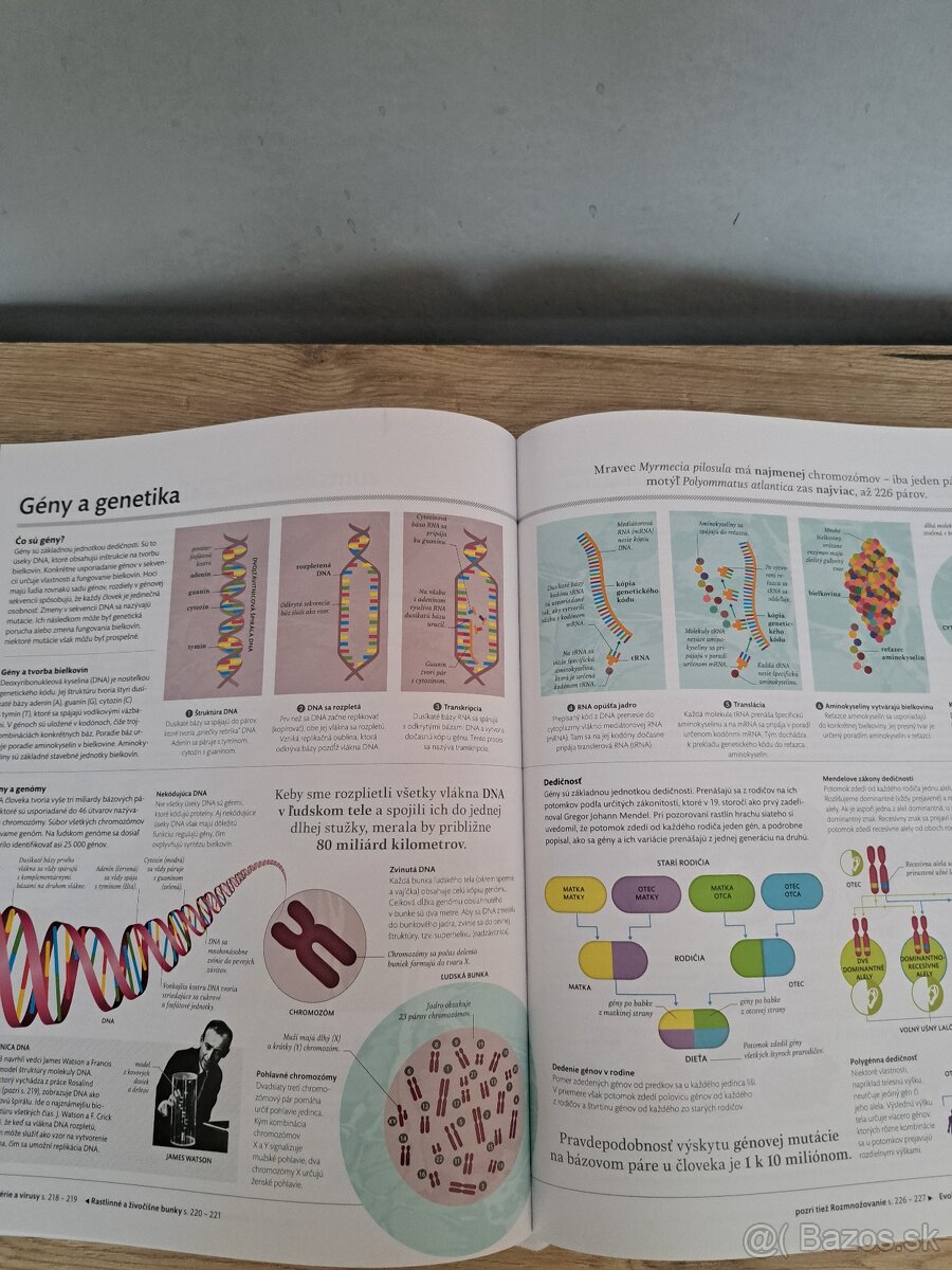 Rodinna encyklopedia - 3