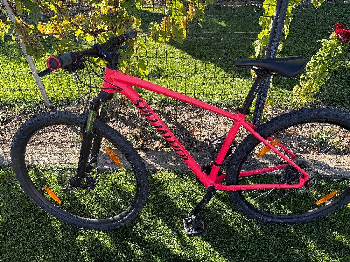 Specialized Rockhopper 29 - 3