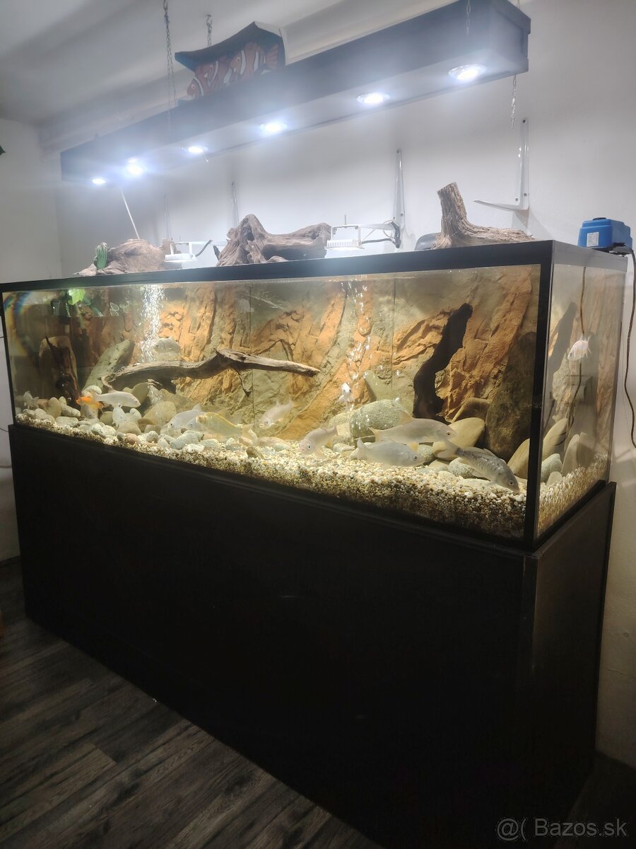 Predám akvárium plus stojan železný - 3