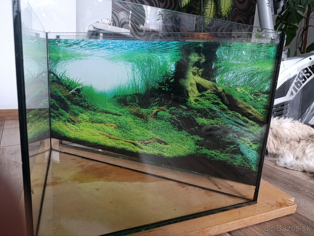 Akvária - 3
