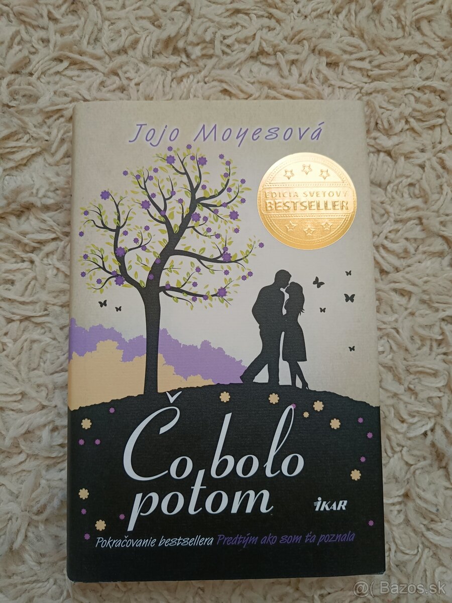 Predtým ako som ťa poznala - 3