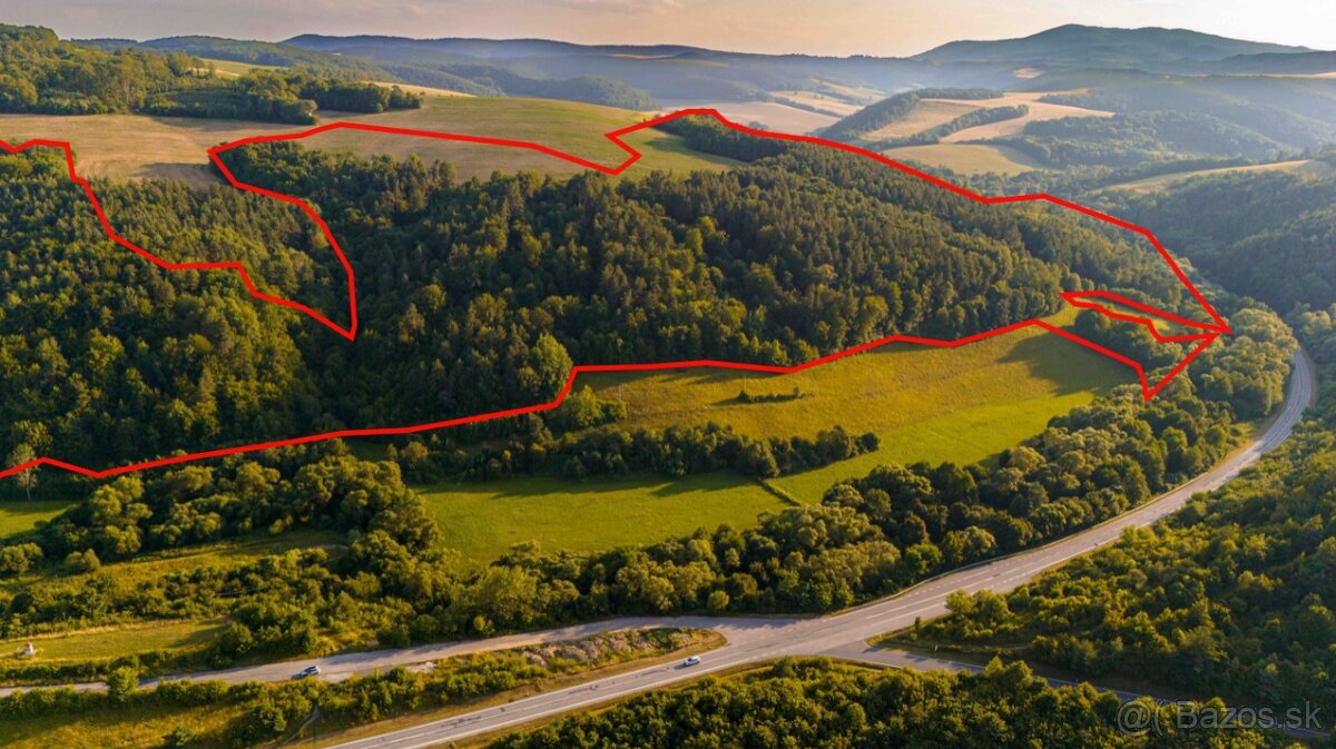 Rokycany – 250.000 m2 LESNÝ REKREAČNÝ POZEMOK v 1/1 pri PO - 3
